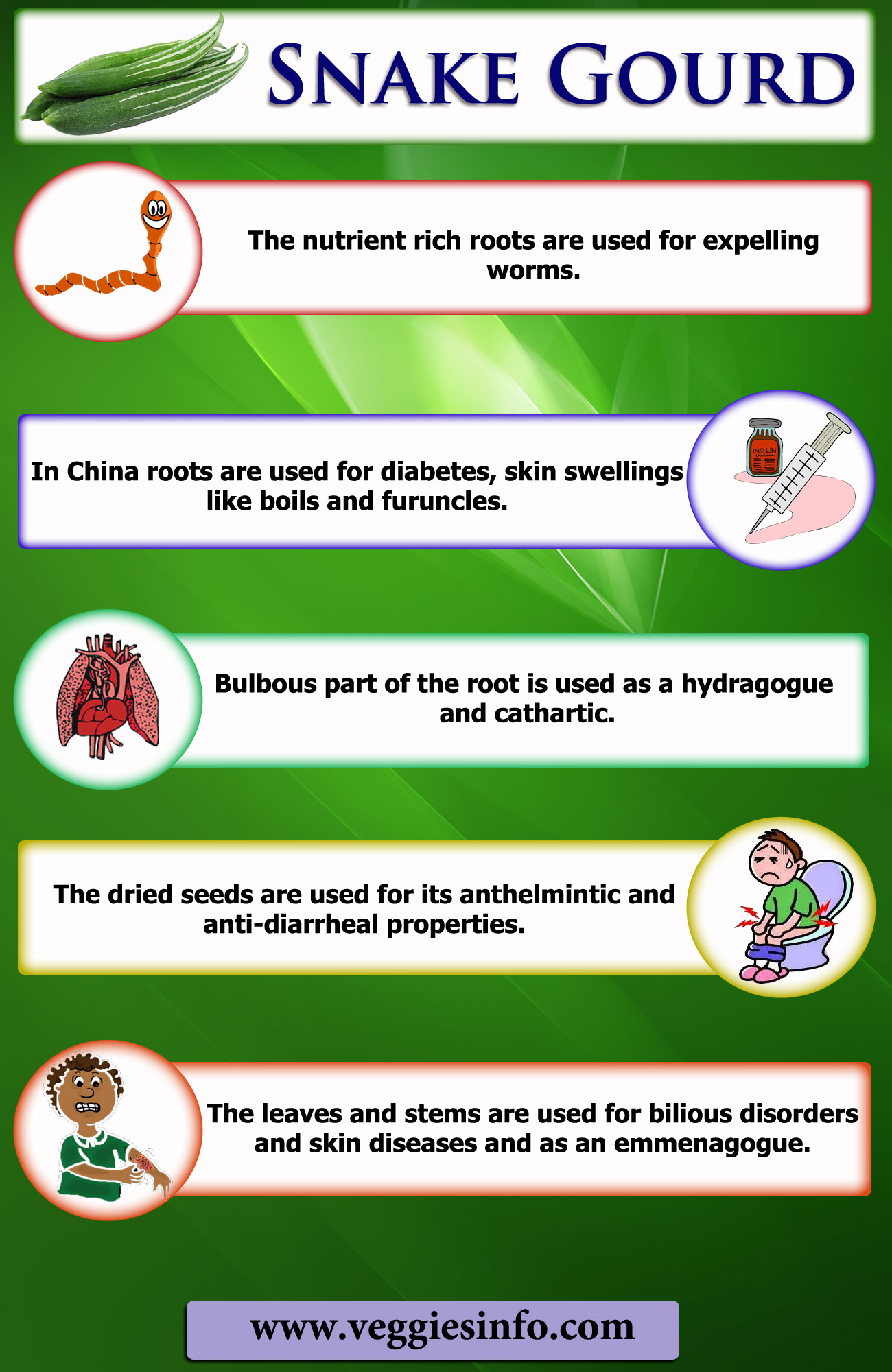 Snake Gourd Medicinal Uses And Its Growth Veggies Info Veggies Info