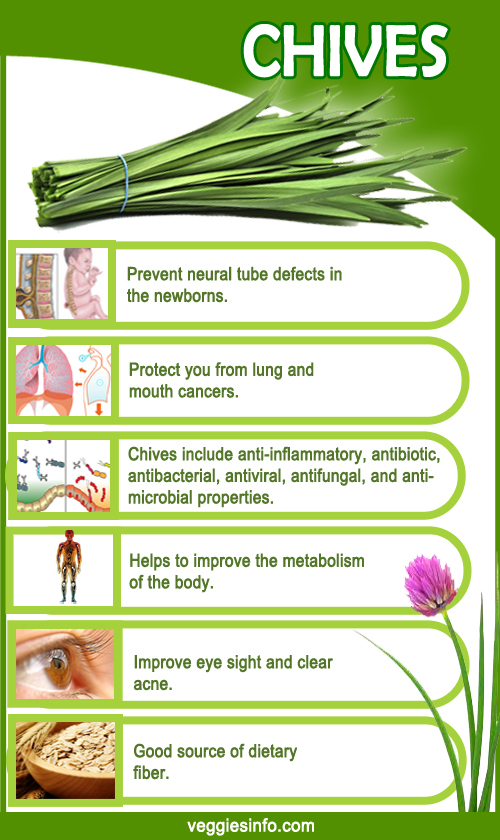 Chives Growth Nutrition Facts and its Health Benefits Veggies Info
