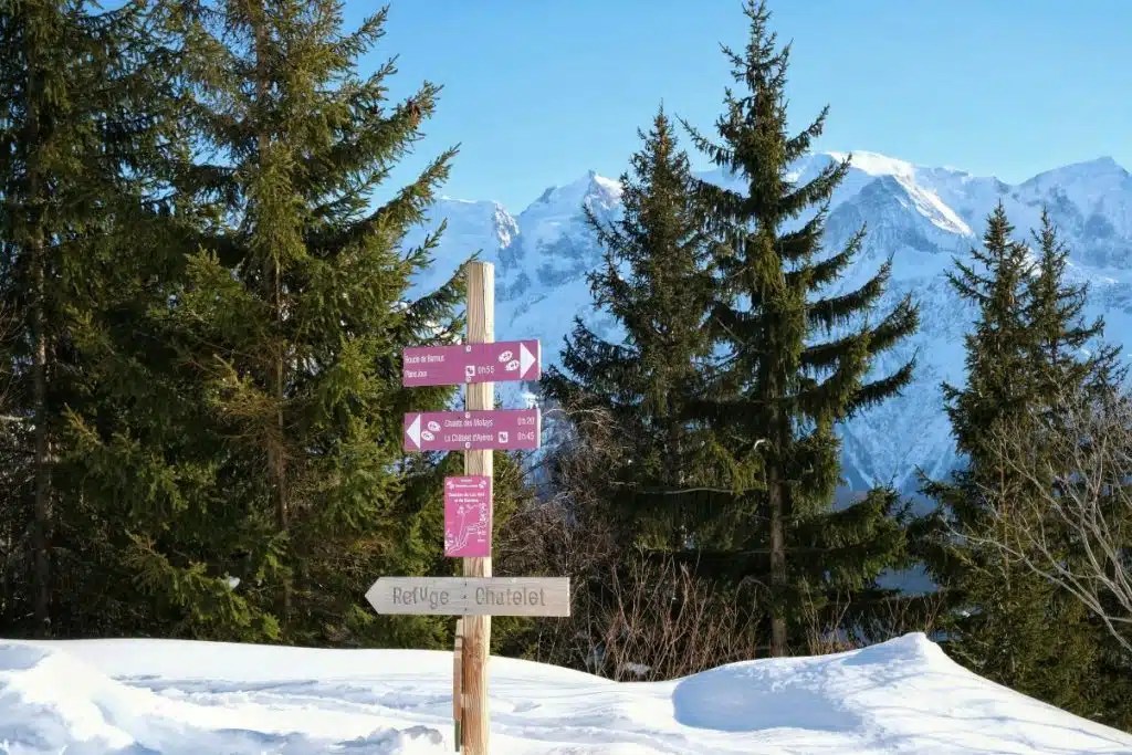 Snowshoeing in Chamonix, France A Complete Guide Veggie Vagabonds