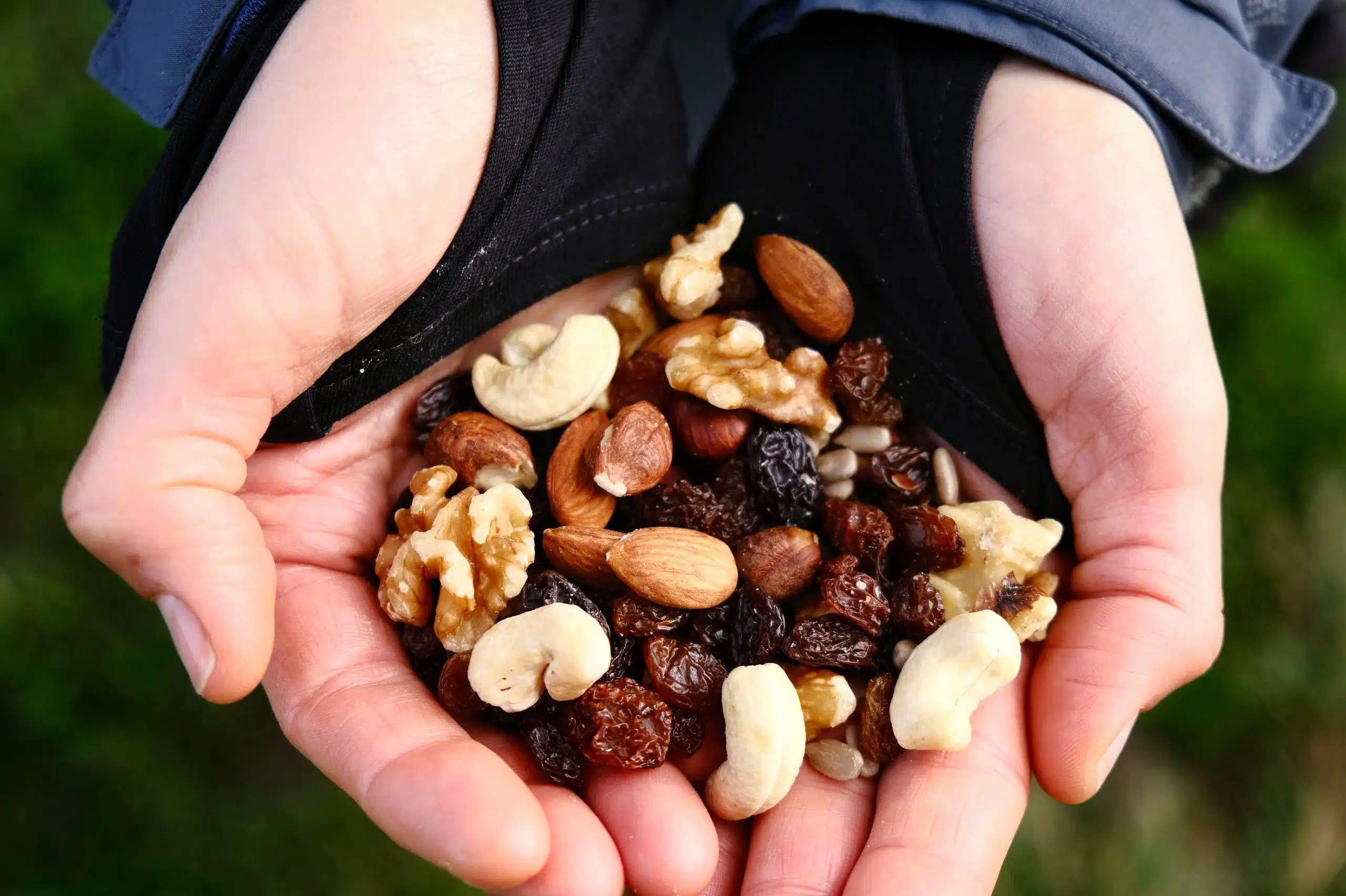 Vegan Trail Mix for Hiking & Outdoor Pursuits 2024