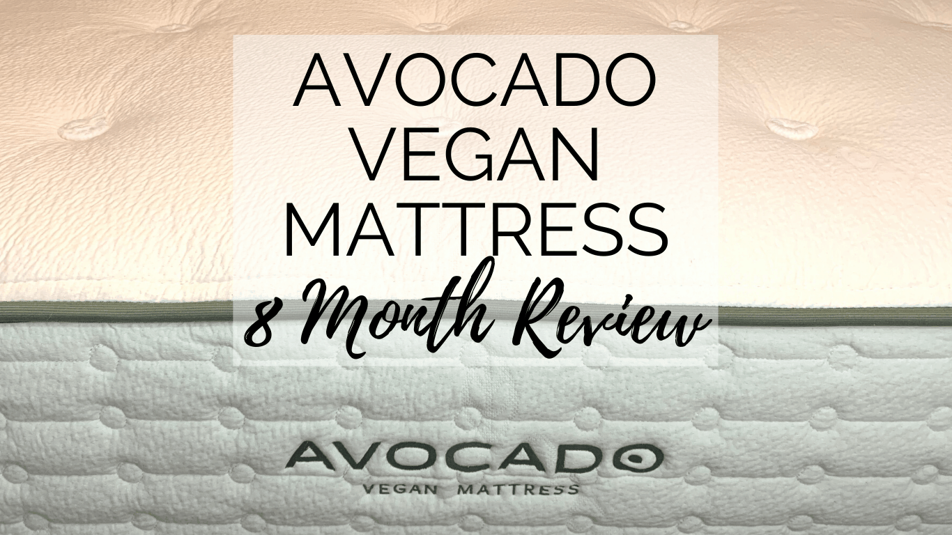 Avocado Vegan Mattress (8 Month) Review VeggL