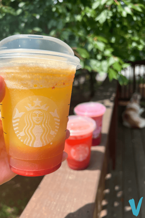 Are Starbucks’ Frozen Freshers Vegan? VeggL