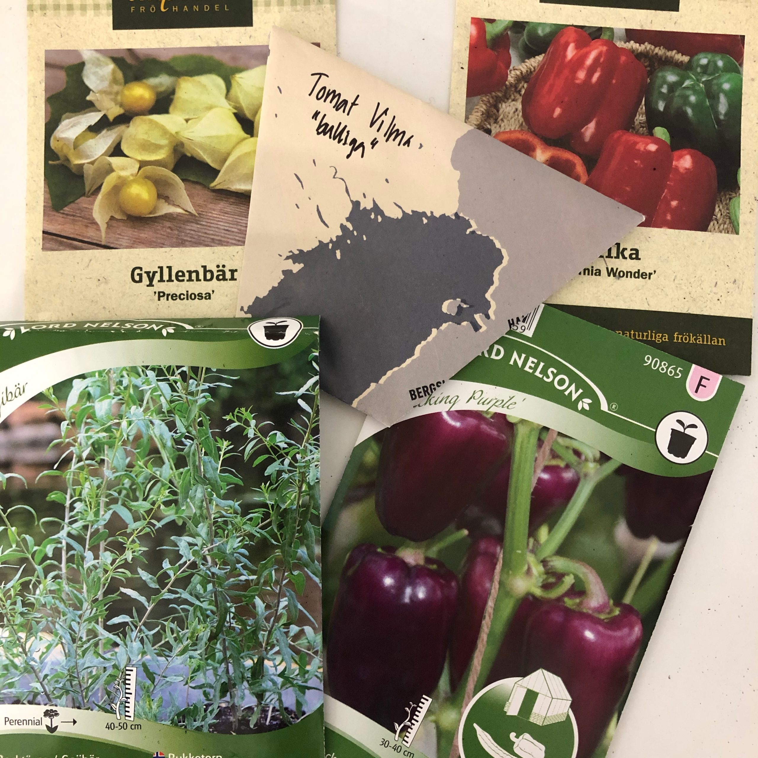 Vegetables to sow in January • Vegocracy