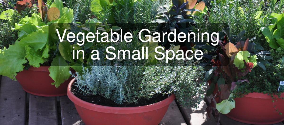 Planning a vegetable garden in a small space