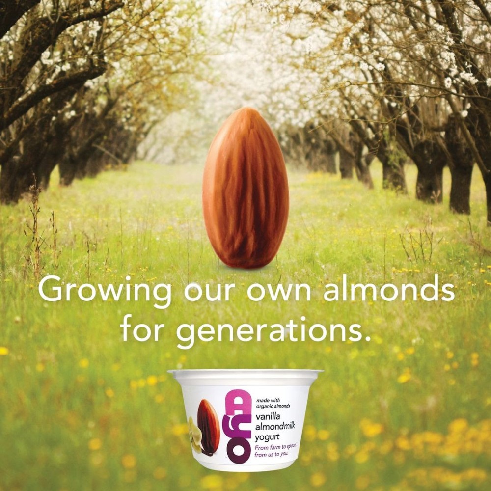 Stock those Fridges with Probiotic Packed, Vegan Yogurt VEGWORLD Magazine