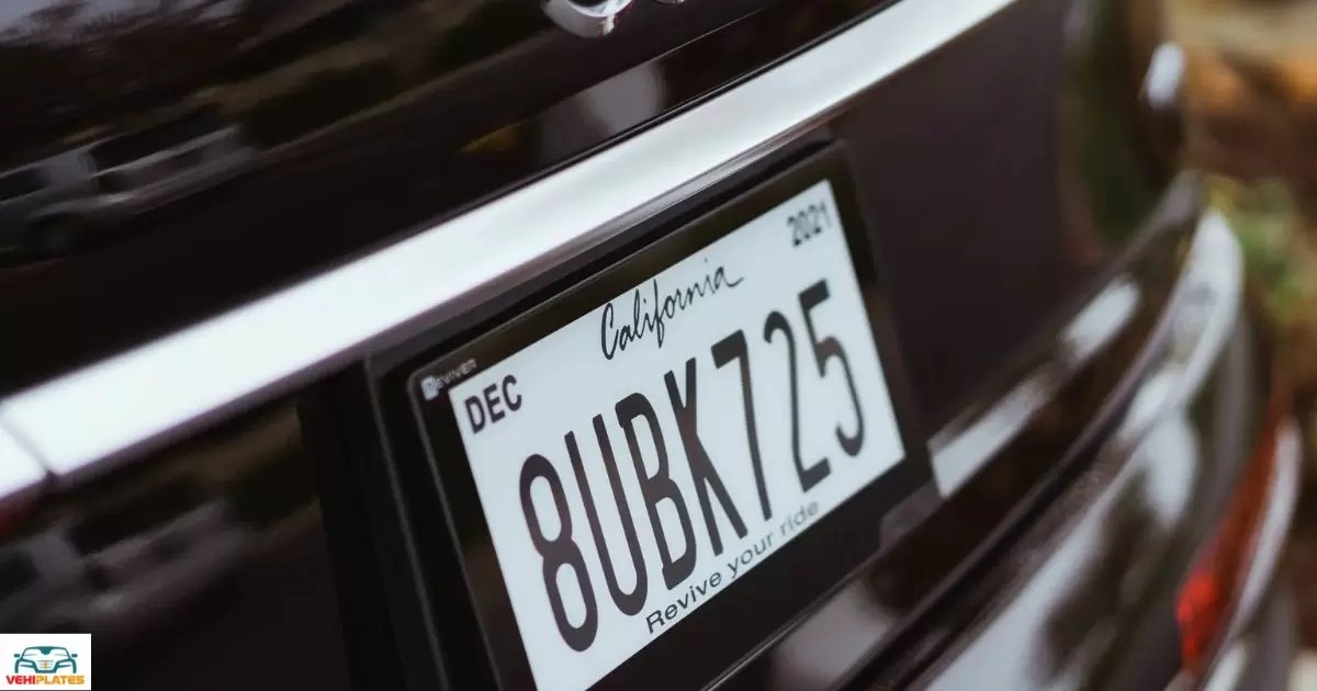 What Does A Red License Plate Mean? 2024