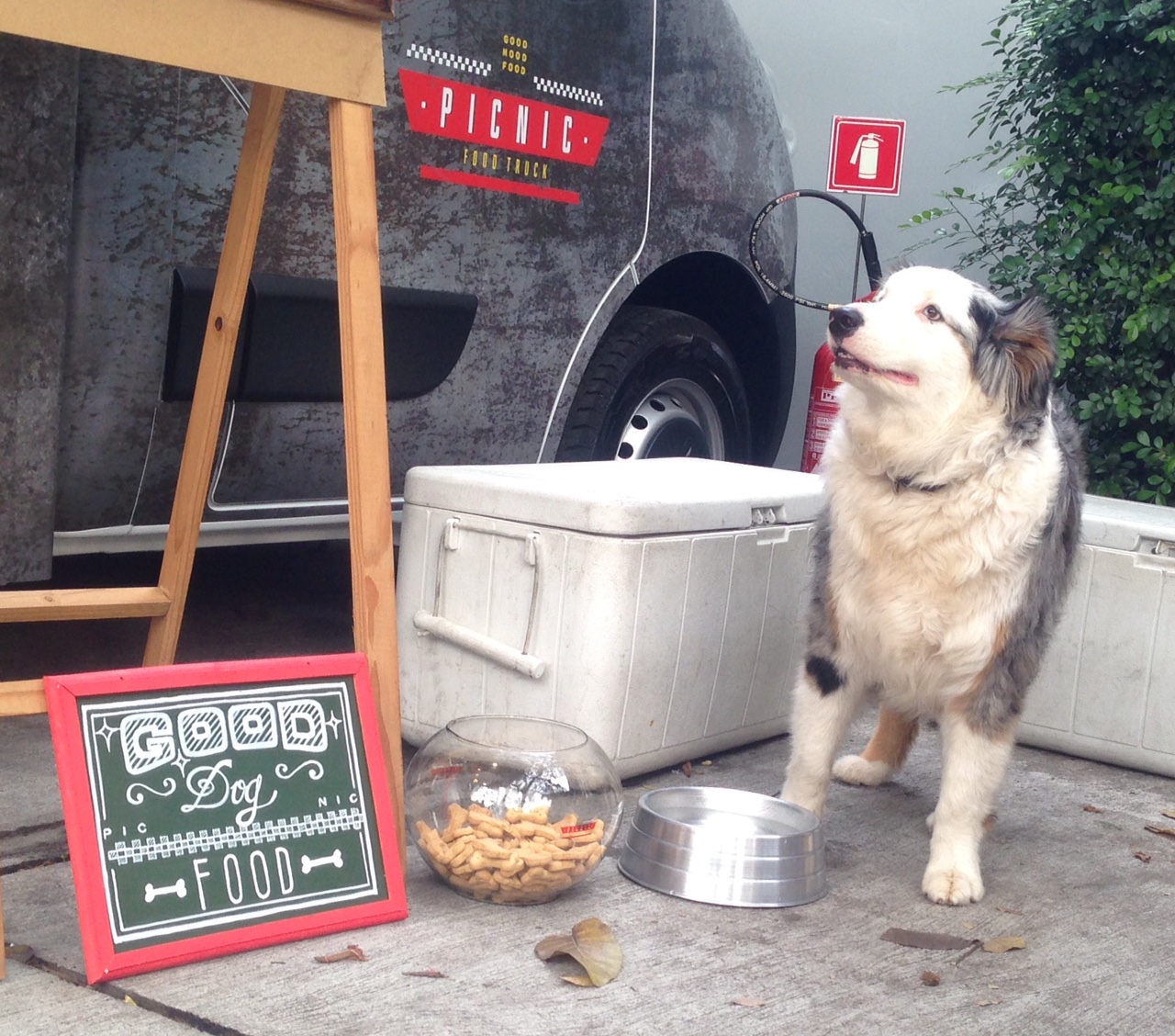 Picnic Food Truck VEJA SÃO PAULO
