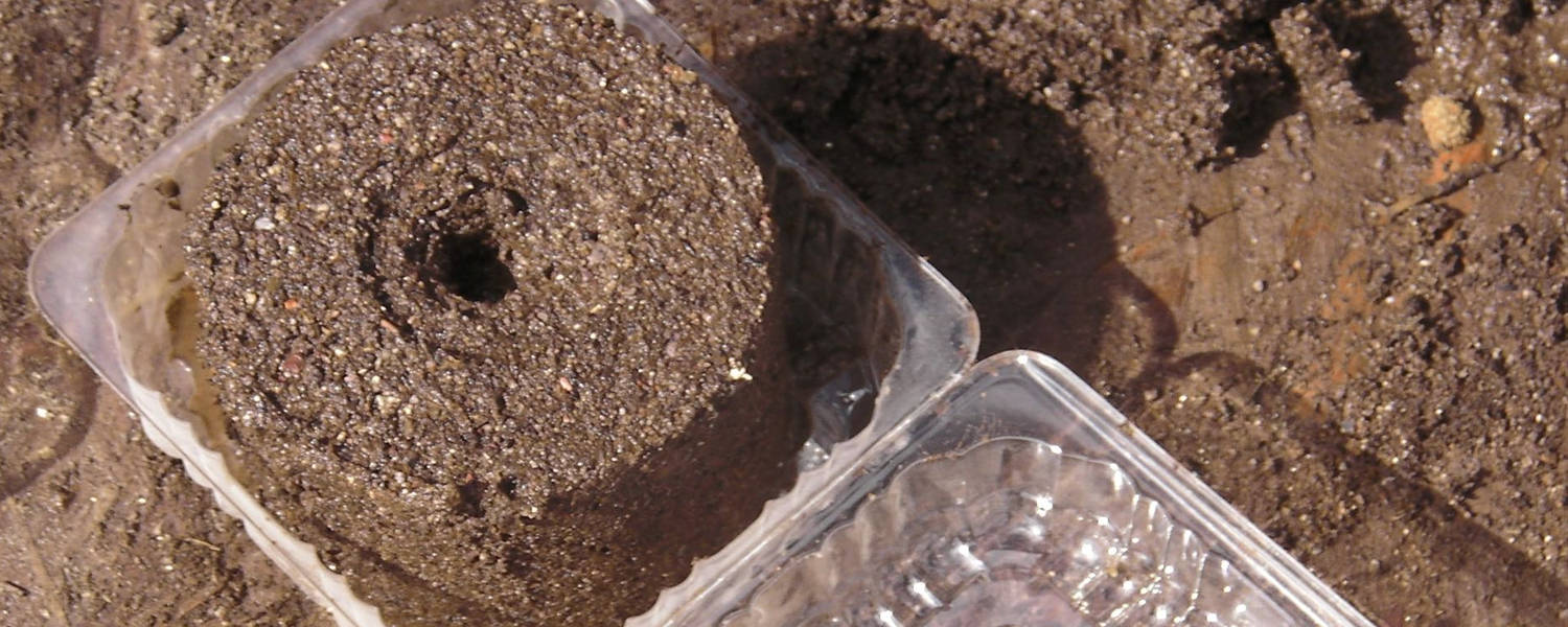 How To Soil Blocks