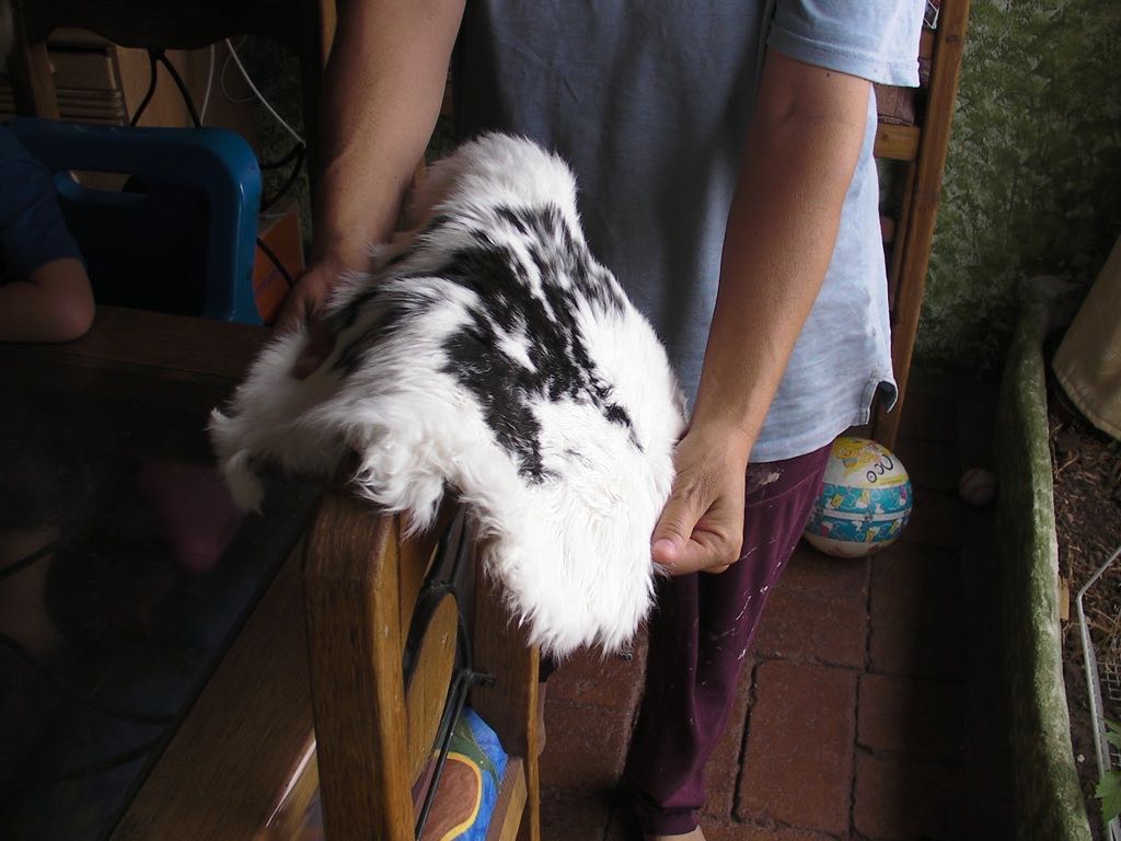 How To Tanning Rabbit Pelts
