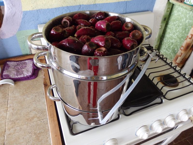 Steam Juicer VelaCreations