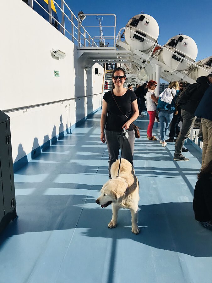 Mallorca mit Hund Vela On Tour, Reisen mit Hund