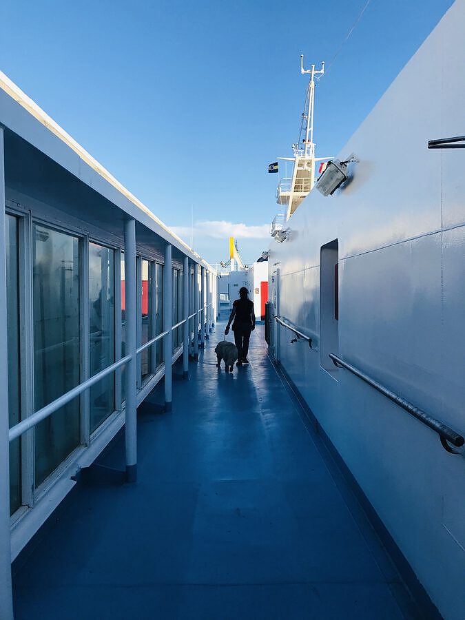 Mallorca mit Hund Vela On Tour, Reisen mit Hund