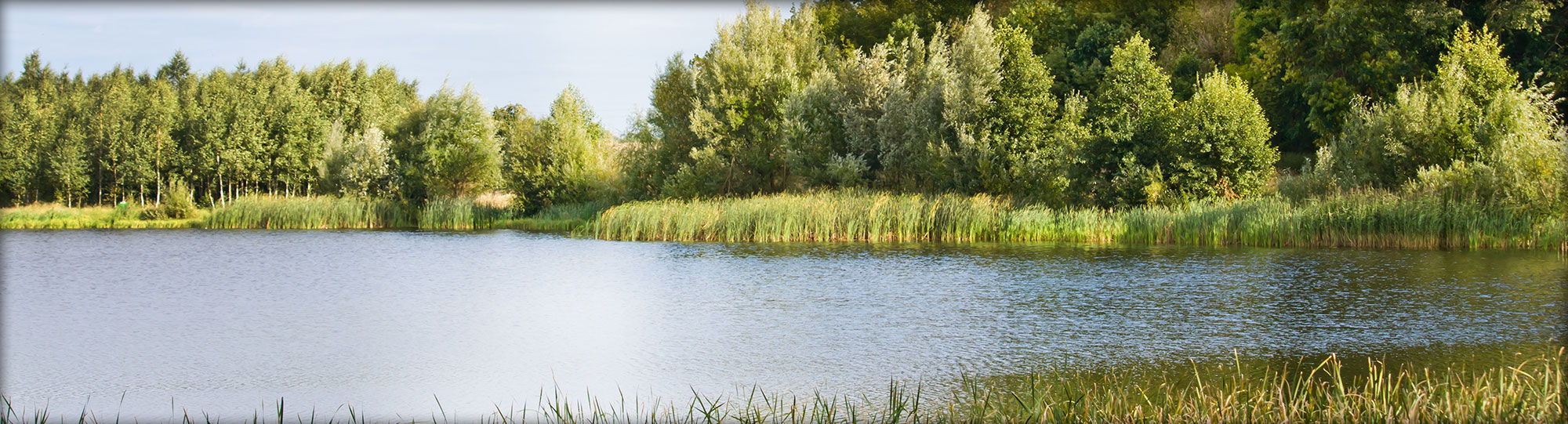 Meet with Our Professional Attorneys in Alexandria, Minnesota