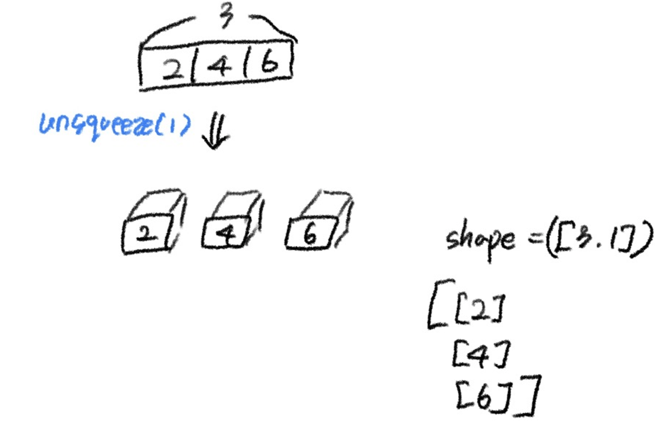 [Pytorch] torch.unsqueeze(x, dim)