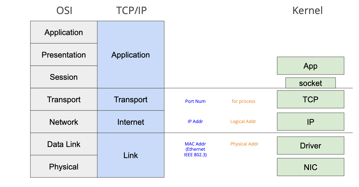 Raw Socket Programming