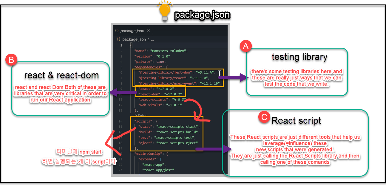 package.json