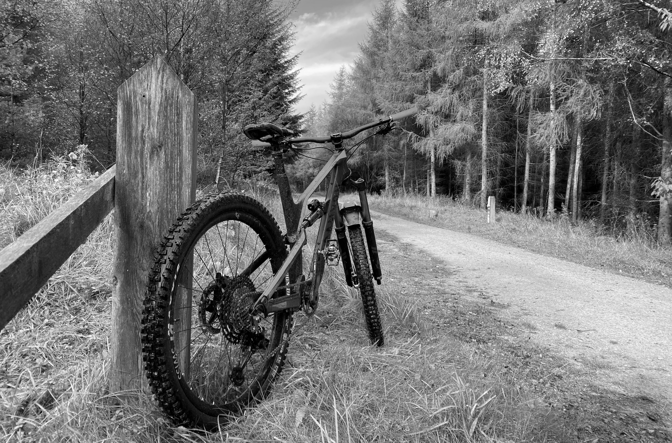 Carbon Fiber Bike Repair Estimates Velontic