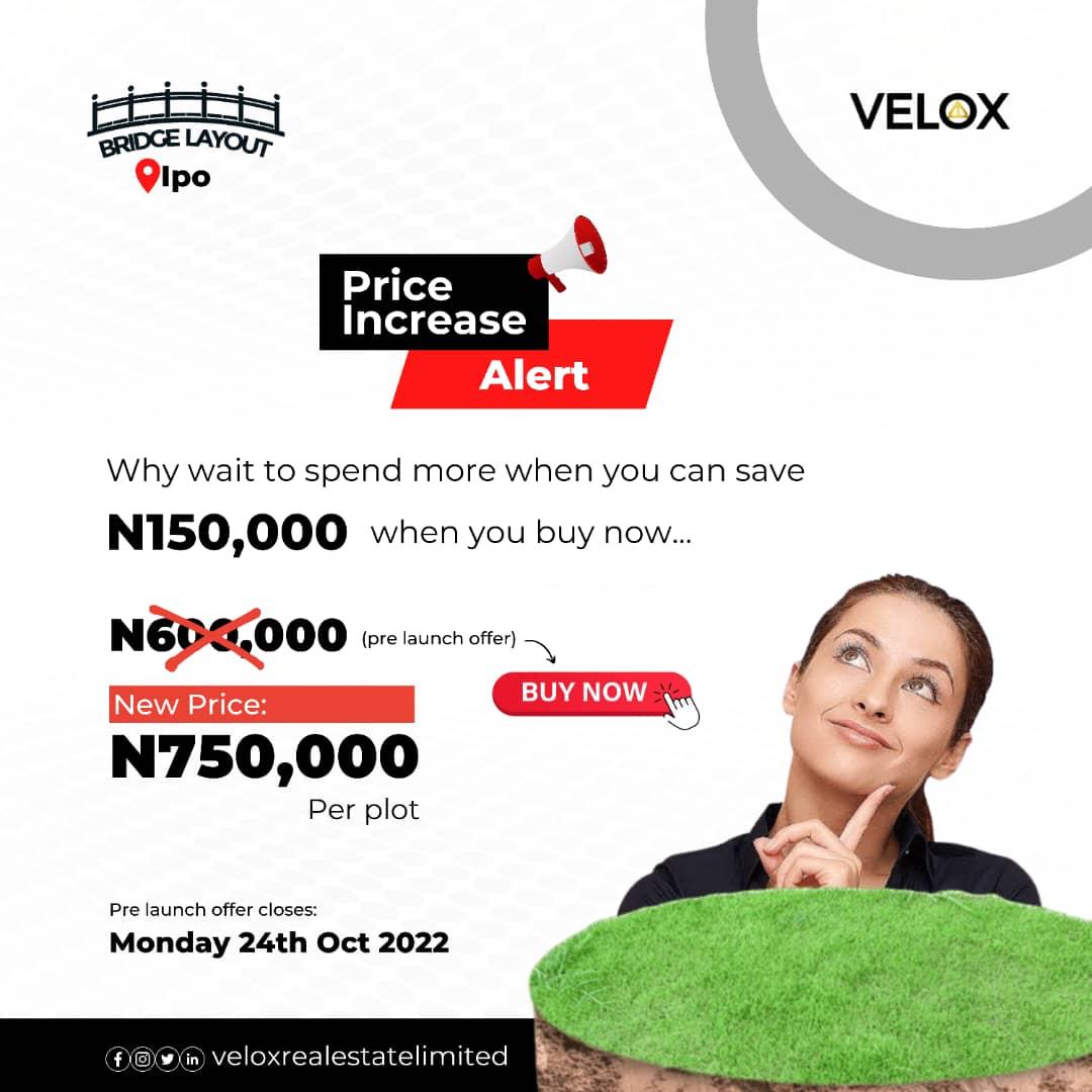 bridge layout Velox Real Estate