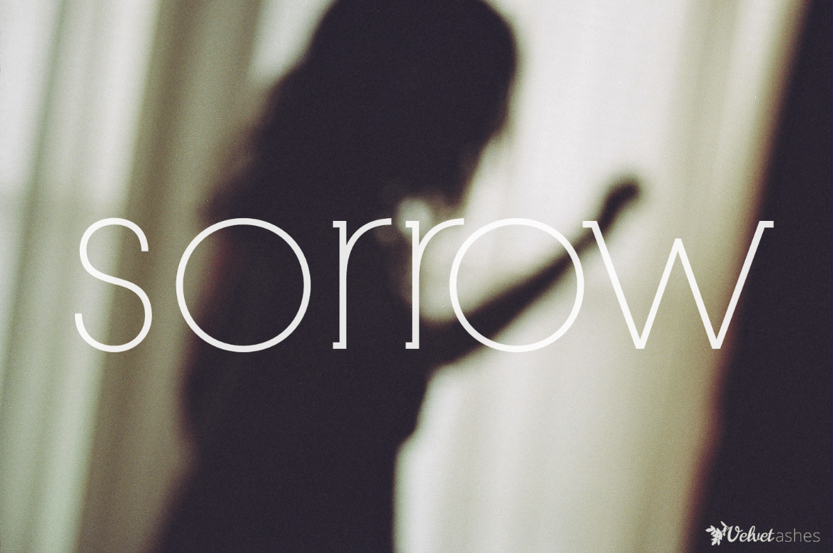Word Prompt Sorrow Velvet Ashes