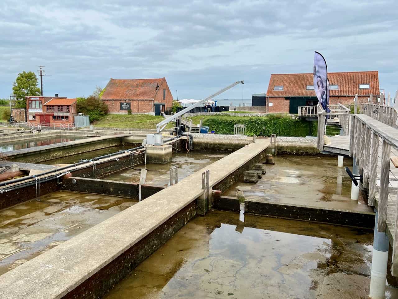 Yerseke the oyster capital of the Netherlands Velvet Escape