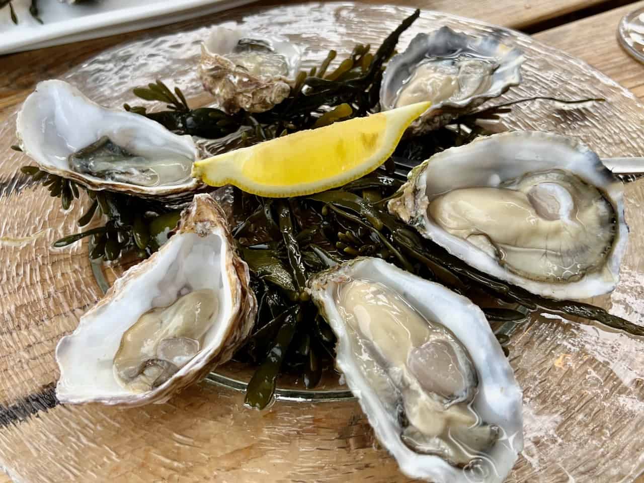 Yerseke the oyster capital of the Netherlands Velvet Escape