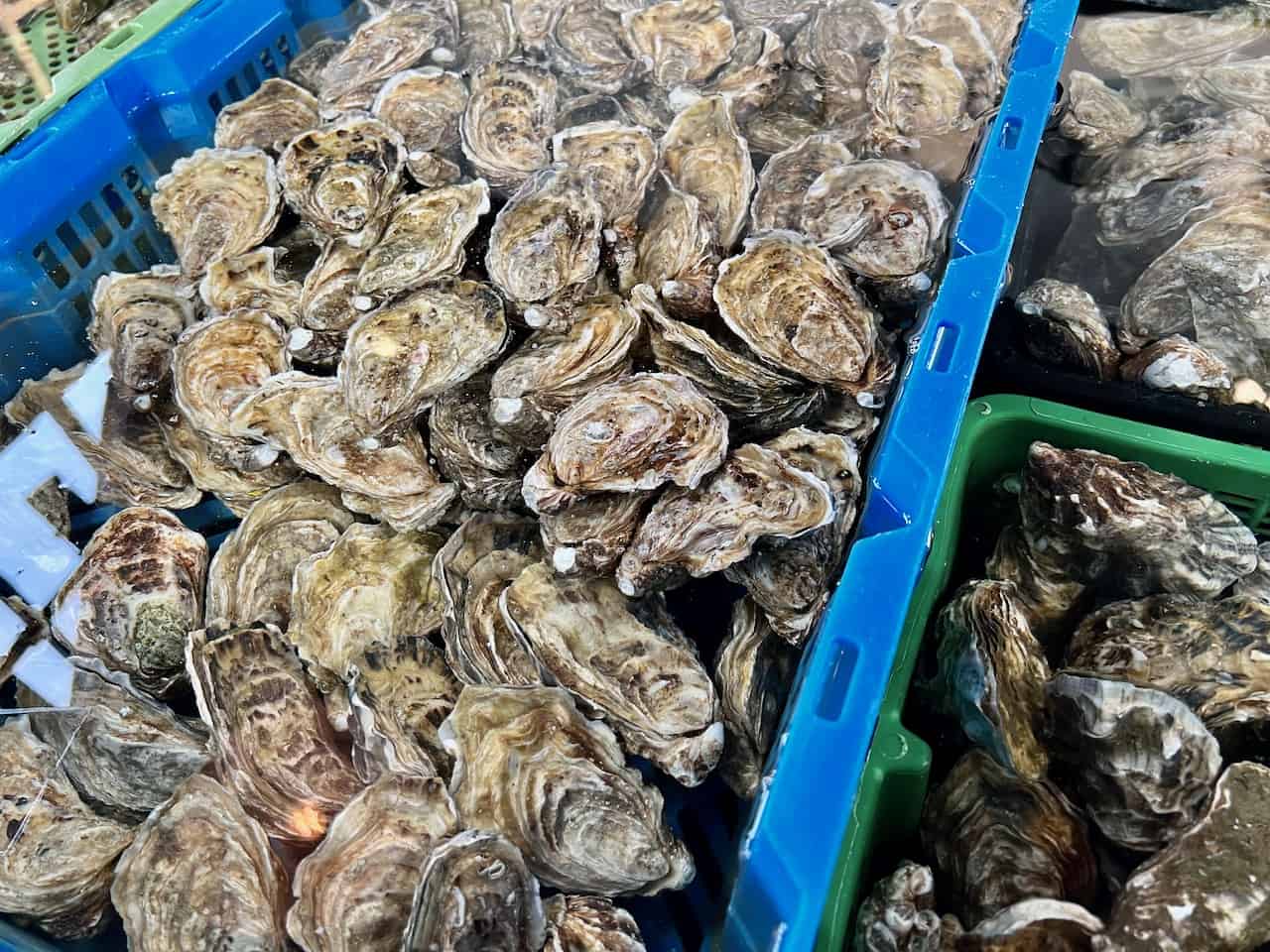 Yerseke the oyster capital of the Netherlands Velvet Escape