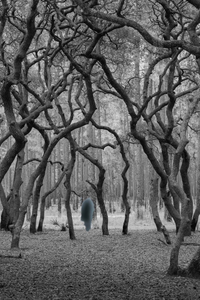 Ghost.gif Vickie M Witherspoon