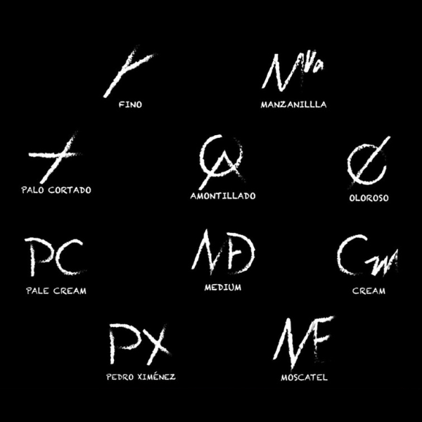 ¿Qué es un Oloroso? VENDIMIA SELECCIONADA