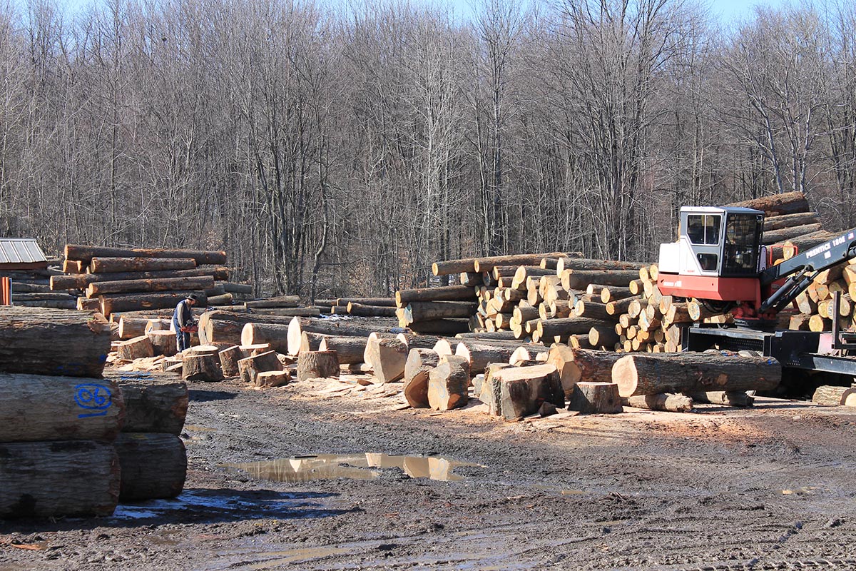 OUR FACILITIES Veneer Logs Shipped Worldwide!