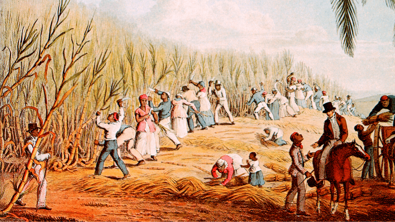 Radical Land Reform in Venezuela A Conversation with Juan Carlos Loyo