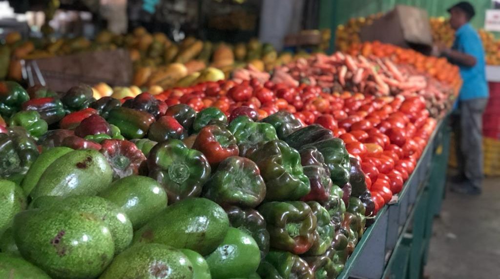 Land Reform in Venezuela Today A Conversation with Juan Carlos Loyo