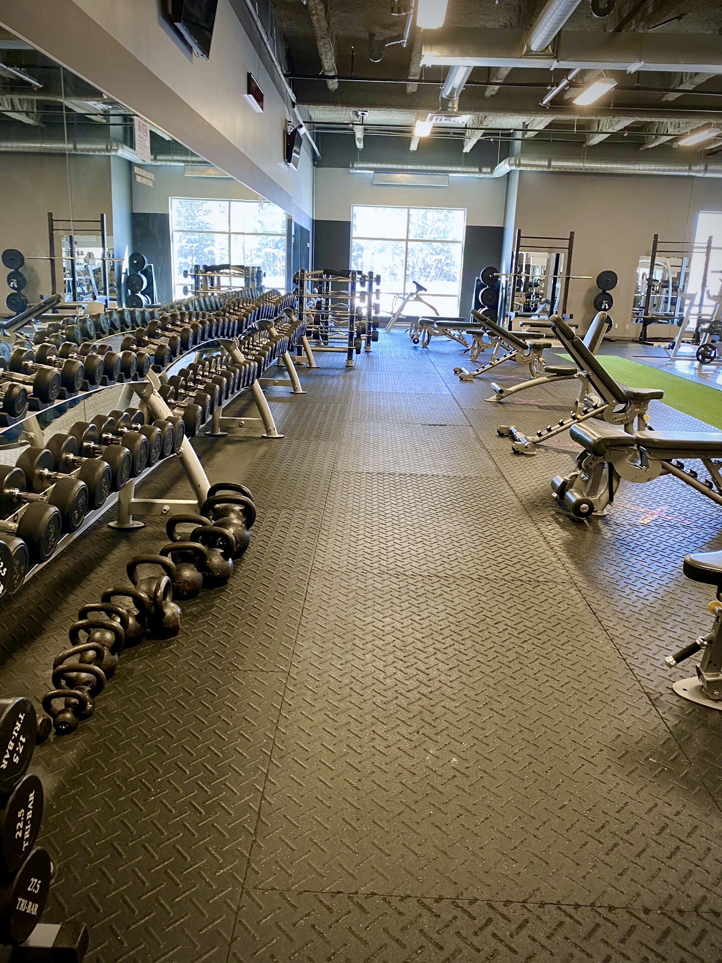 Venice Gym StAugustin Venice Gym