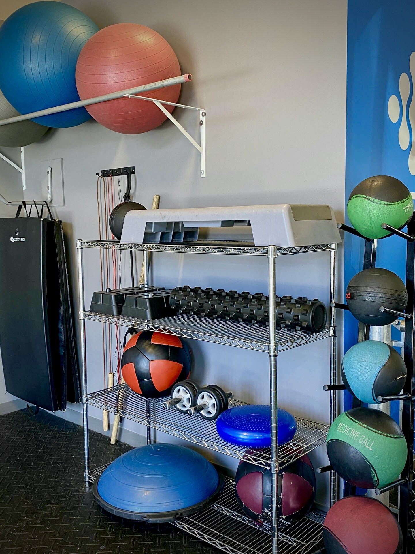 Venice Gym StAugustin Venice Gym