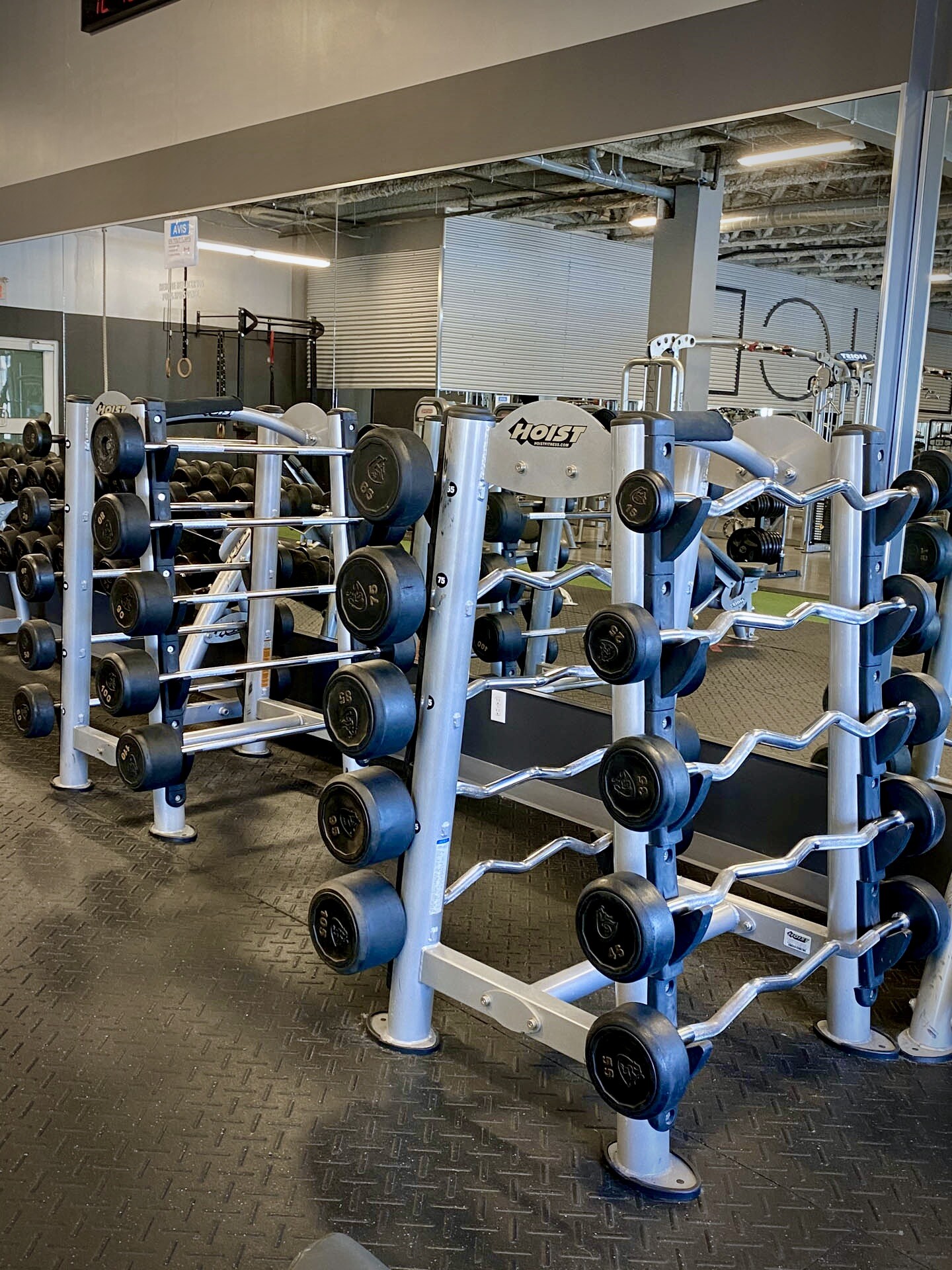 Venice Gym StAugustin Venice Gym