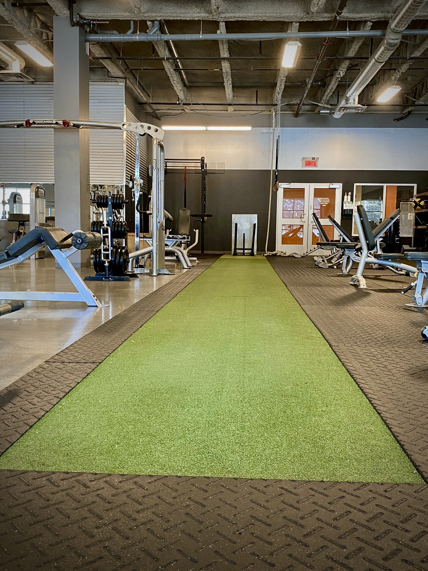 Venice Gym StAugustin Venice Gym