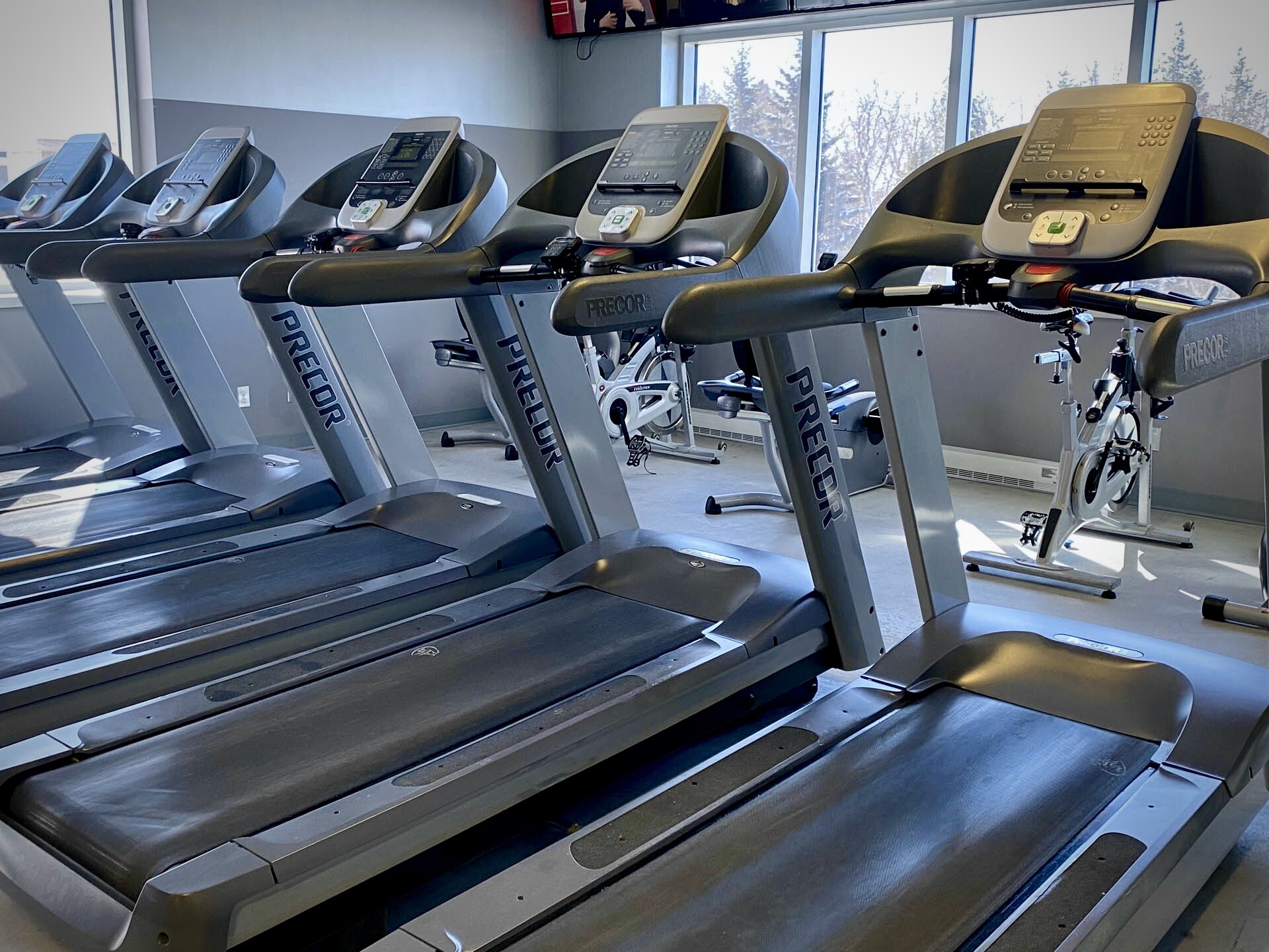 Venice Gym StAugustin Venice Gym