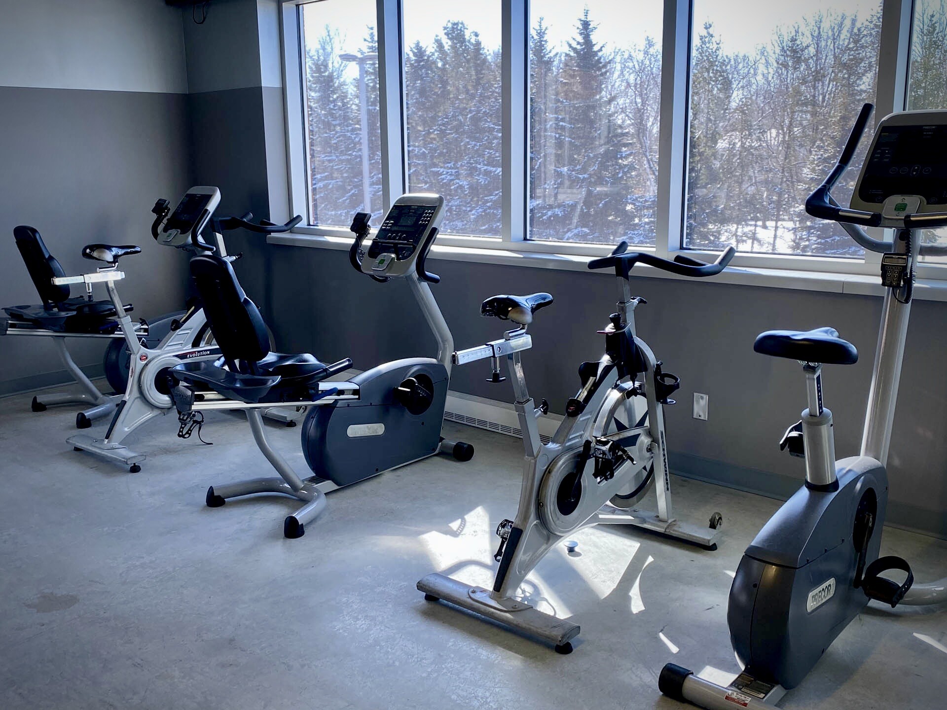 Venice Gym StAugustin Venice Gym