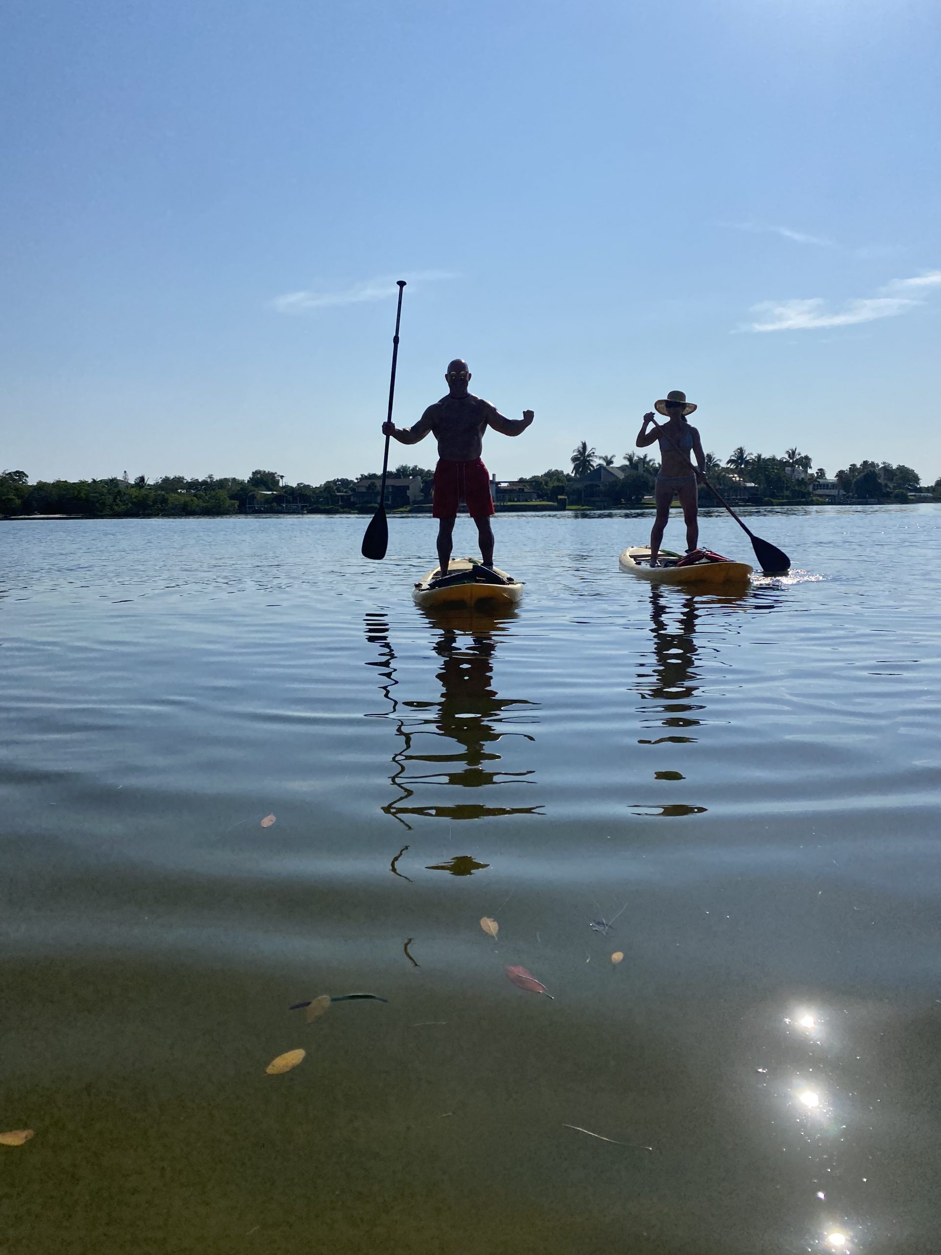 Venice Jetty Surf Report Surf, Fishing, Weather Report Kayak Rentals