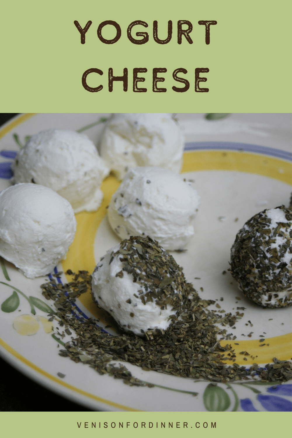 Yogurt Cheese Venison for Dinner