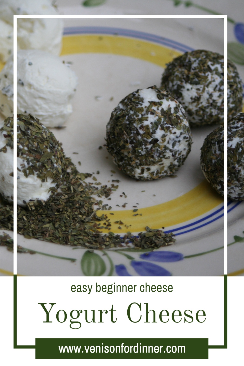 Yogurt Cheese Venison for Dinner