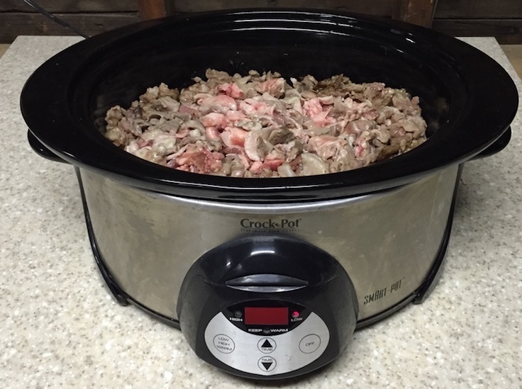 Homemade Deer Suet Make deer fat into bird suet Venison Thursday