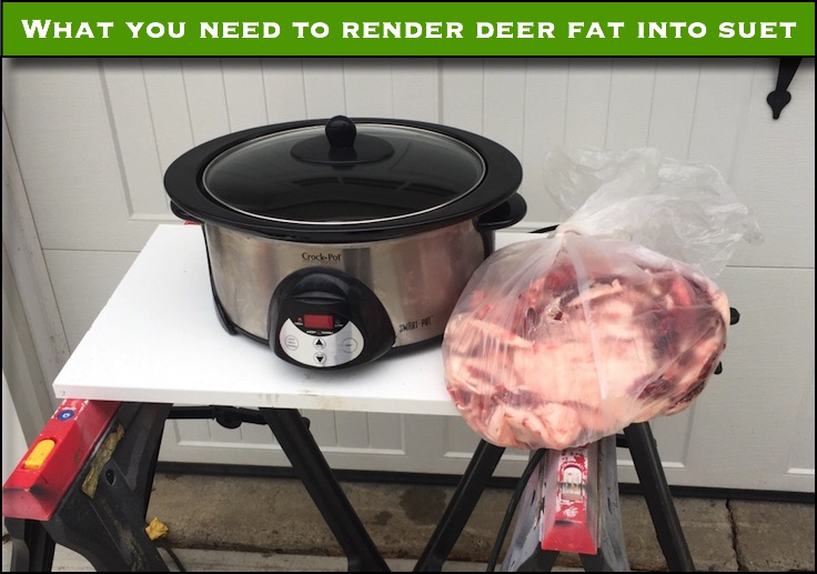 Homemade Deer Suet Make deer fat into bird suet Venison Thursday