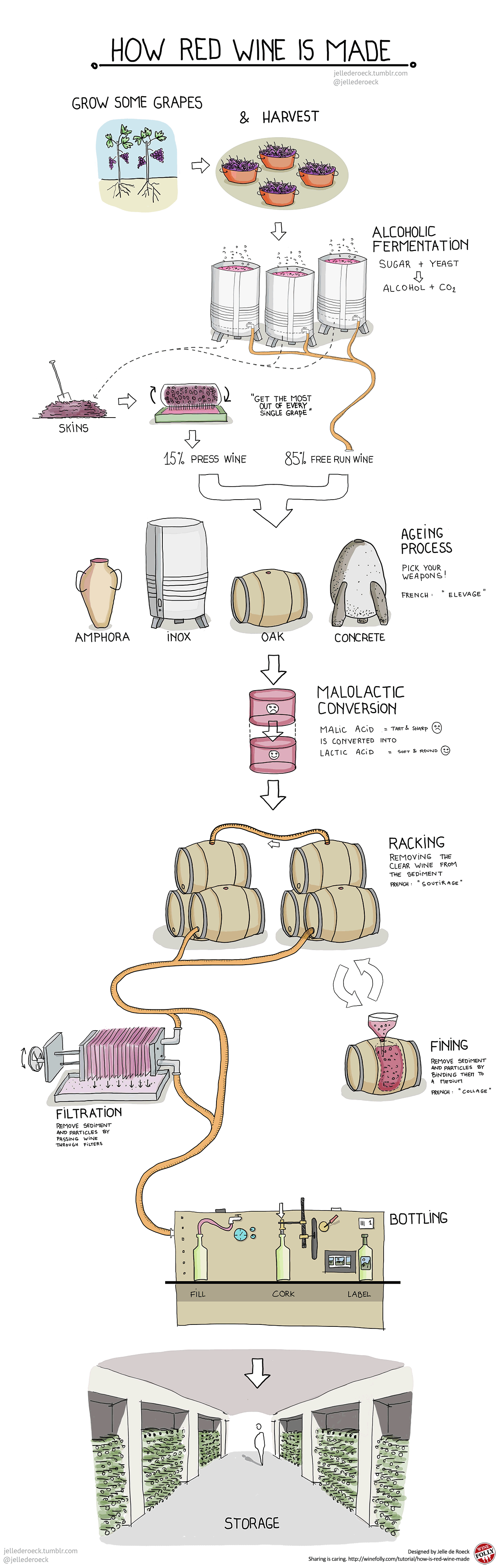 How Is Red Wine Made Venngage Infographic