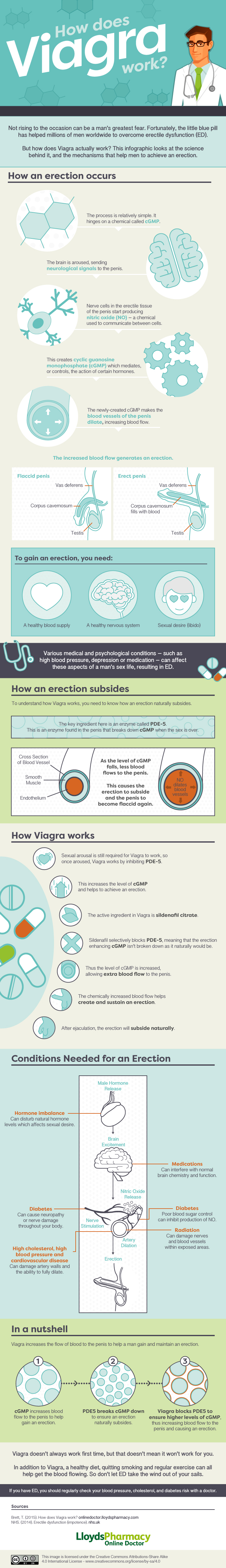 How Does Viagra Work Venngage Infographic