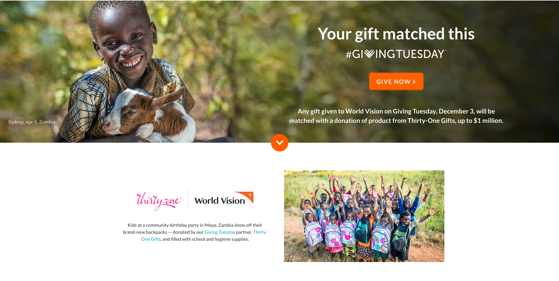Giving Tuesday Campaign Examples to Inspire Your Campaign