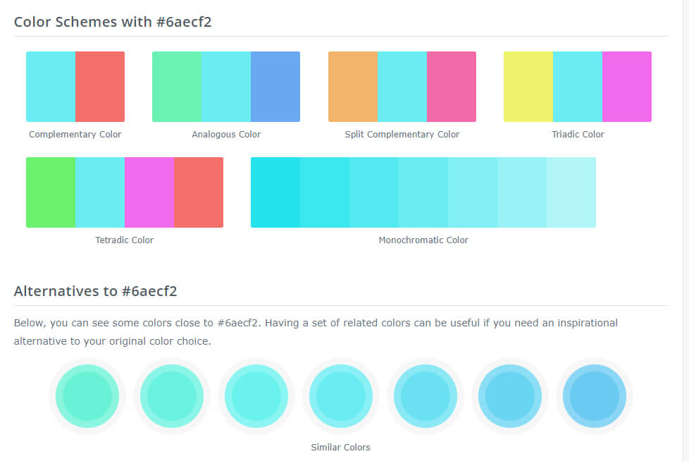 15+ Best Color Palette Tools For Business [2024] Venngage