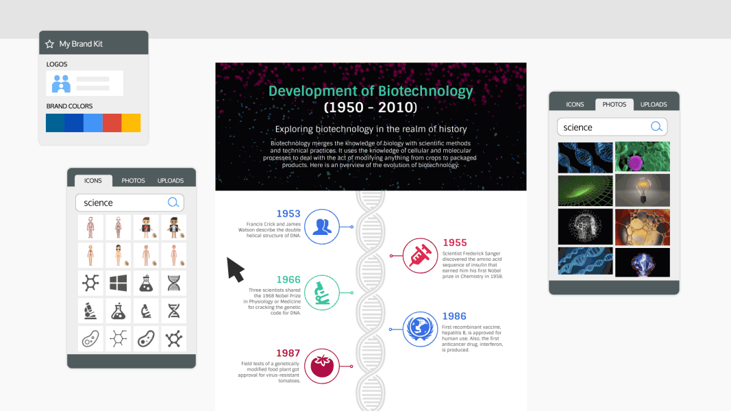 Free Timeline Maker Create a Timeline Online