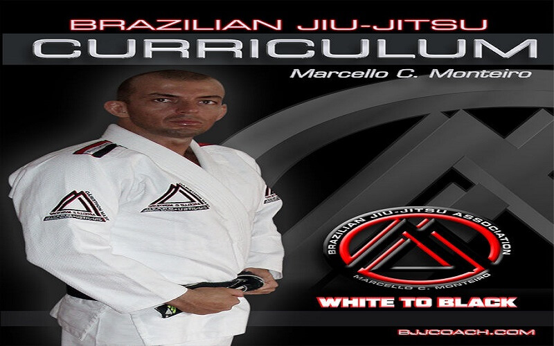 BJJ Coach CURRICULUM Jiu Jitsu VenSoc Technologies