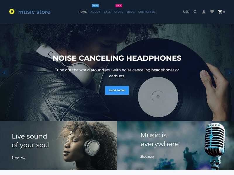 12+ Best Art Shopify Themes 2024 for Creativity eStores