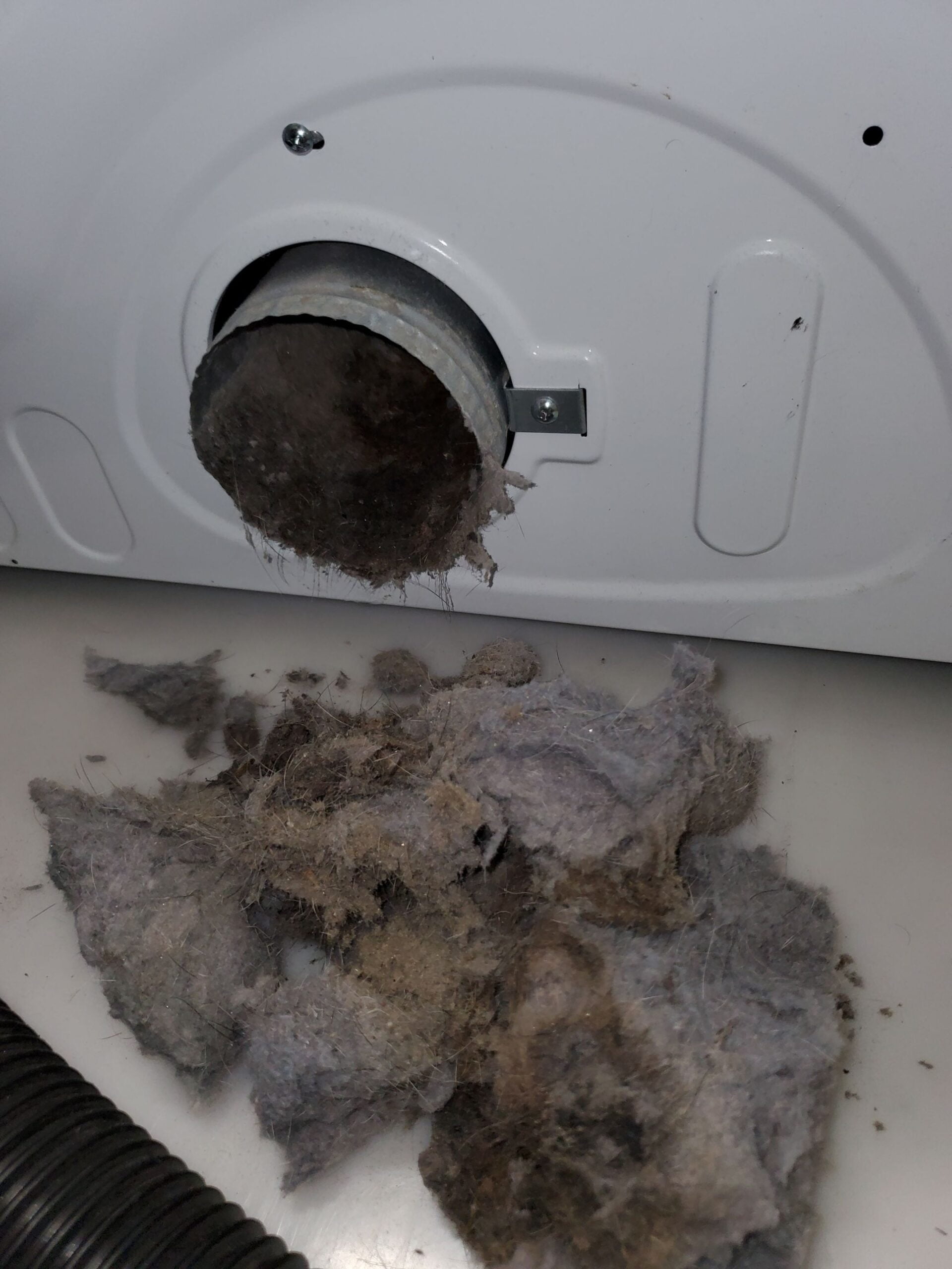 Wet Dryer Vent Why Does My Dryer Smell Bad? Vent Busters Dryer Vent